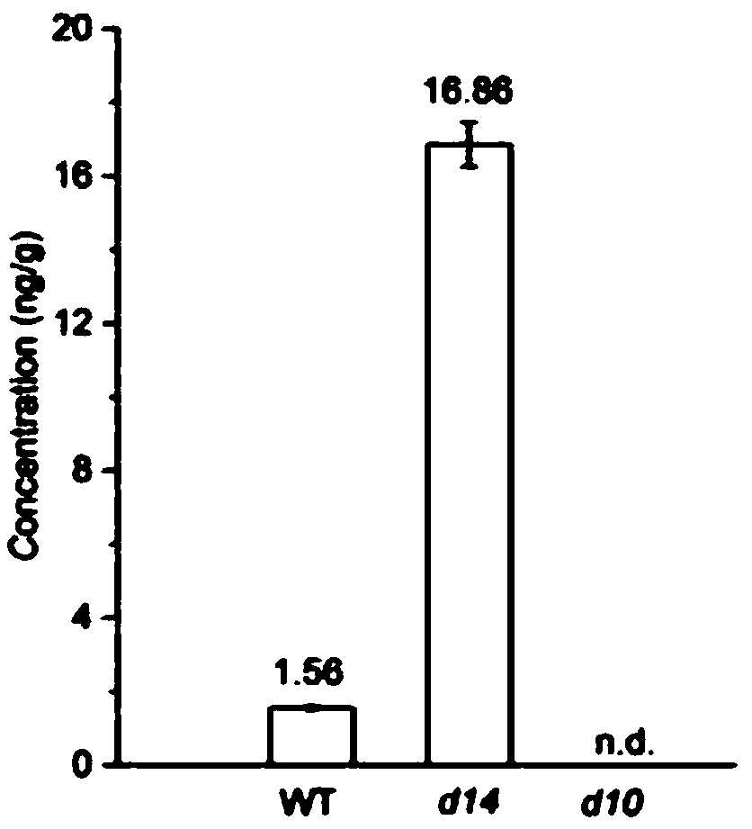 Full-automatic online SPE-LC-MS/MS quantitative analysis method of endogenous strigolactone in plant sample