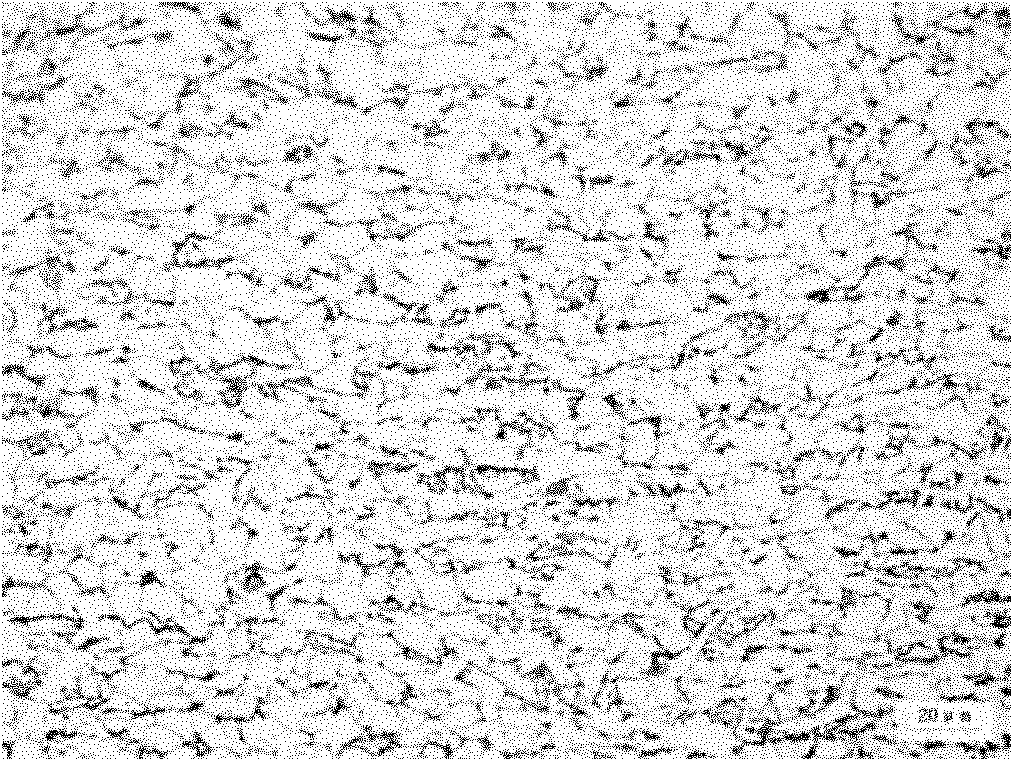 Method for producing hot rolled steel coil