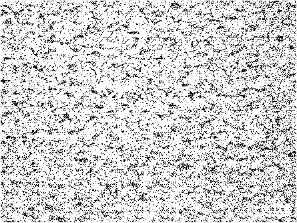 Method for producing hot rolled steel coil