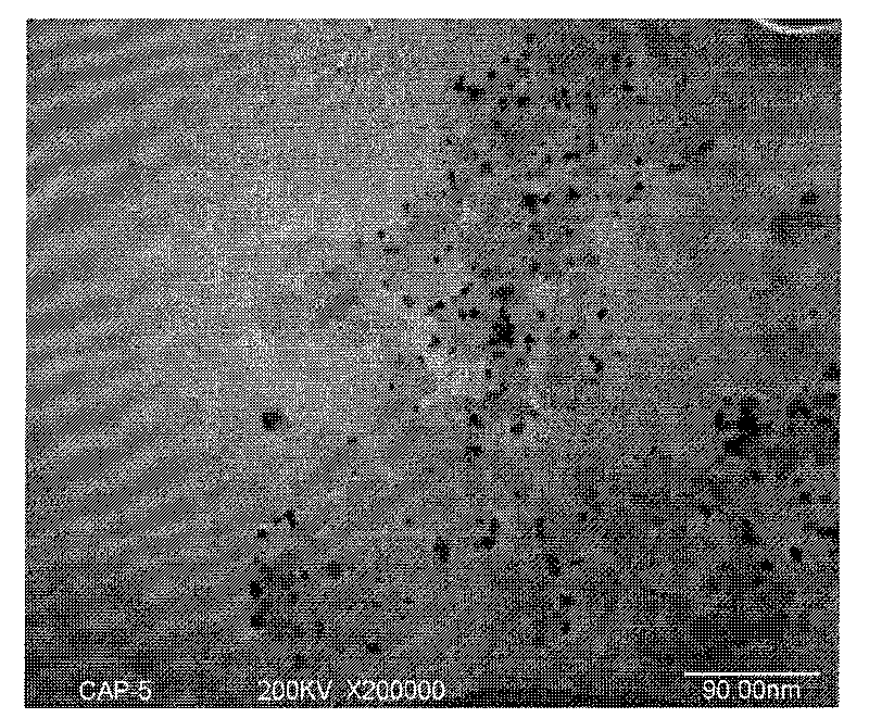 Platinum/carbon aerogel catalyst used for fuel cells and preparation method thereof