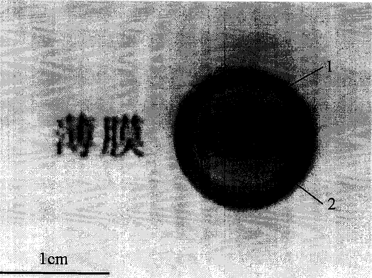 Large-area ultra-thin carbon nanotube film and its preparation process