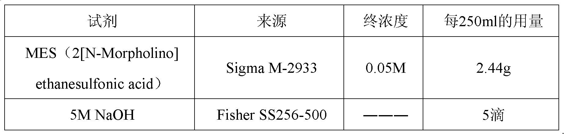 AKT3 gene mutation detection specificity primer and liquid chip thereof