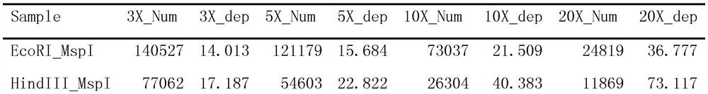 Method for researching corn southern rust group inheritance and transmission based on SNP (Single Nucleotide Polymorphism)