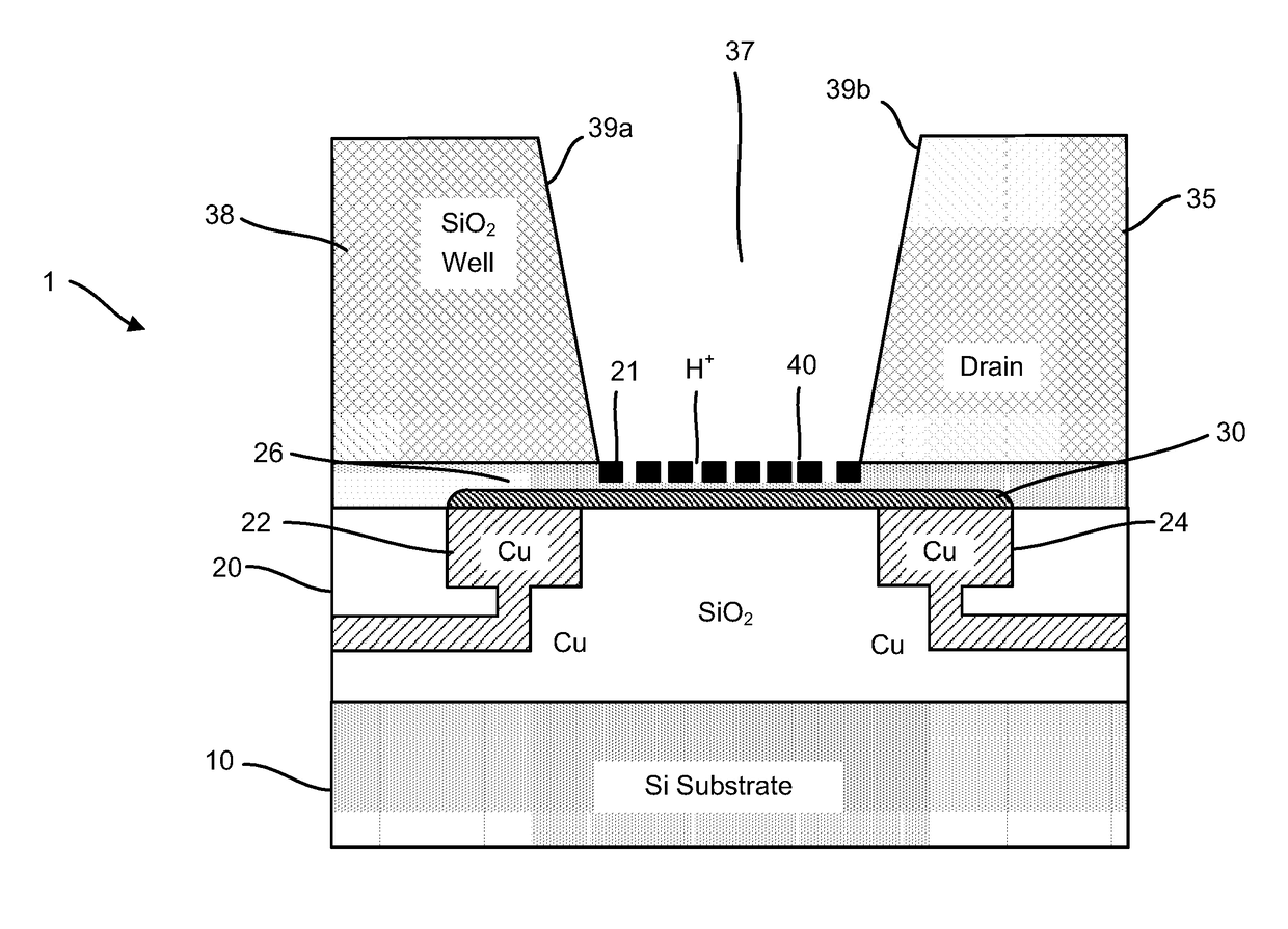 Graphene FET devices, systems, and methods of using the same for sequencing nucleic acids