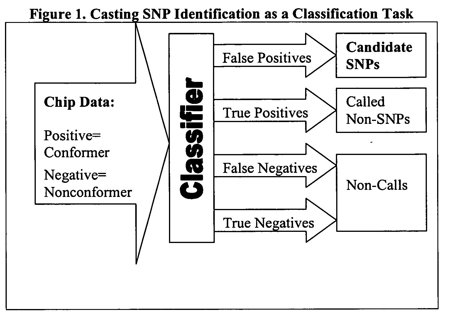 Computer software to assist in identifying SNPS with microarrays