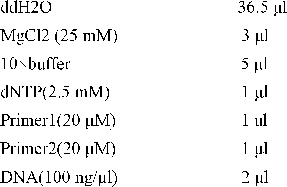 Trichoderma asperellum strain and application thereof