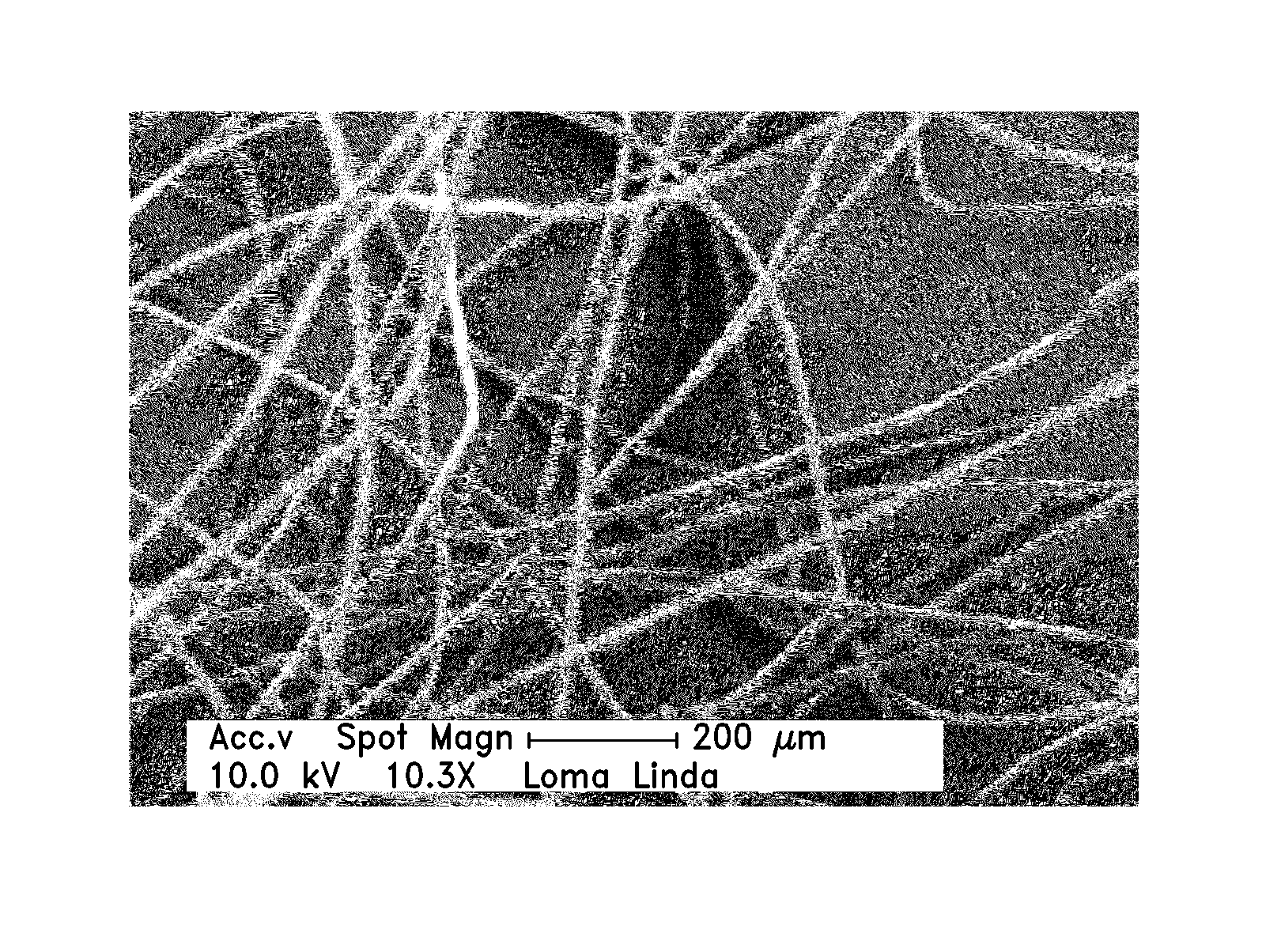 Hemostatic agent for topical and internal use