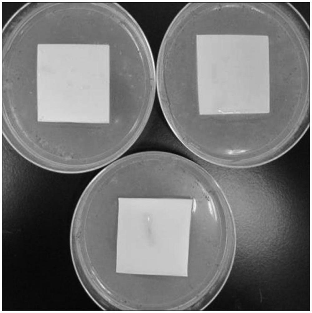 Antibacterial non-woven material and preparation method thereof