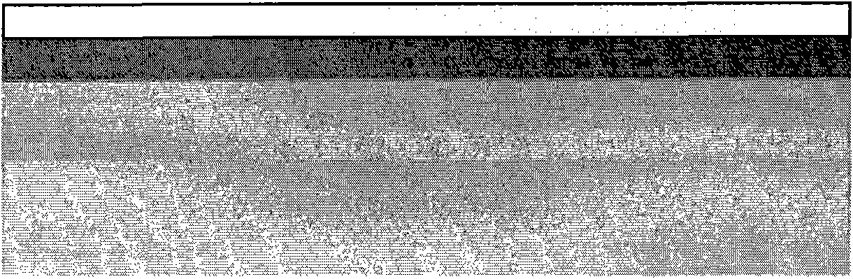 Method for preparing of compound trapping layer in floating gate type nonvolatile storage