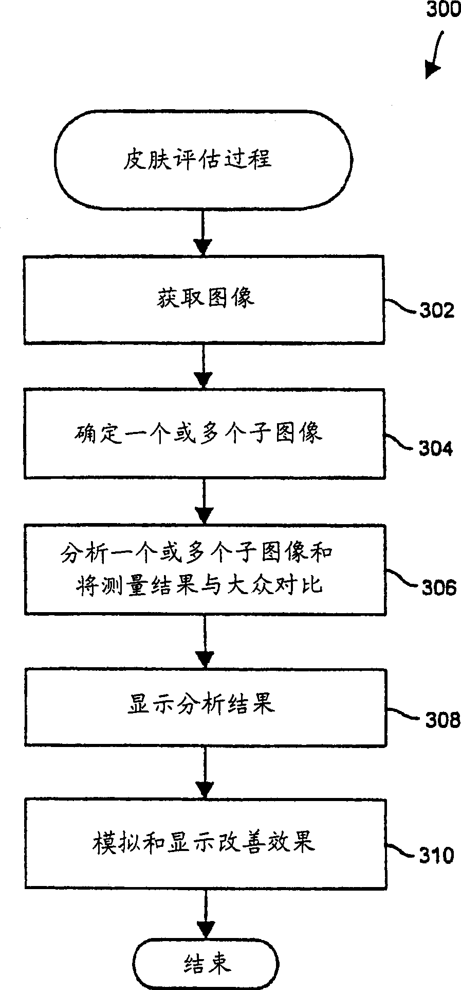 Skin imaging and analysis system and method