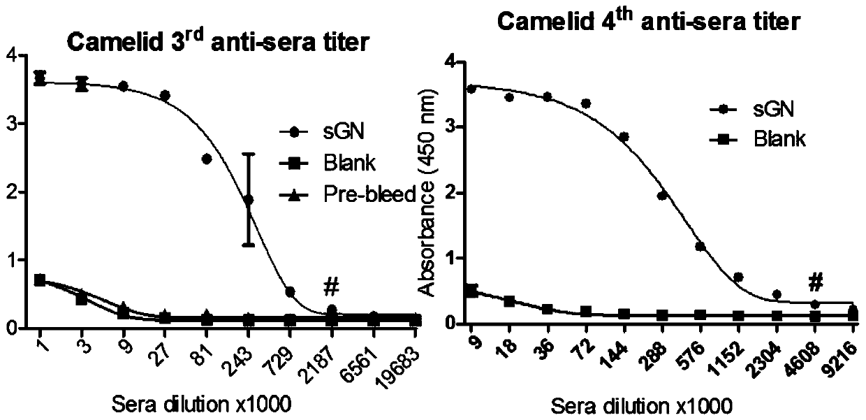 SFTSV (severe fever with thrombocytopenia syndrome virus) combinable polypeptide as well as nucleic acid coding sequence and application thereof