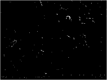 A kind of sealing agent for HVOF to prepare Fe-based amorphous coating