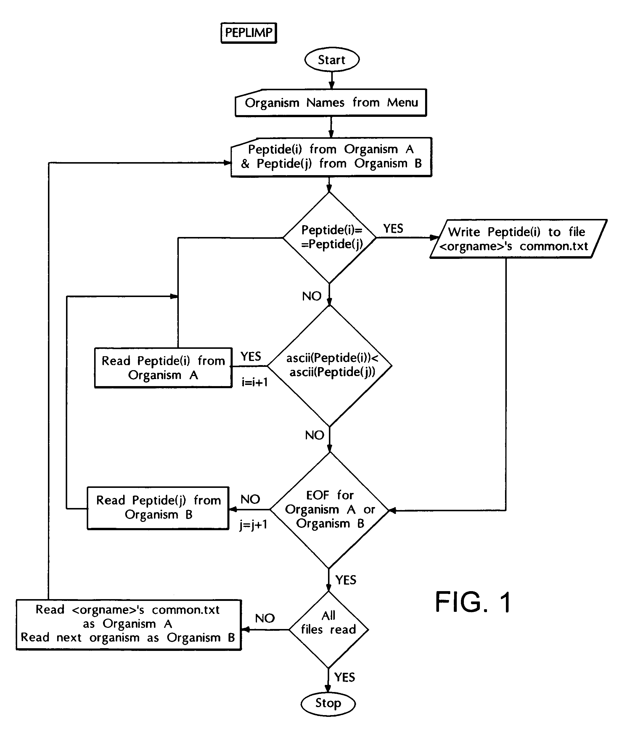 Computer based method for identifying peptides useful as drug targets