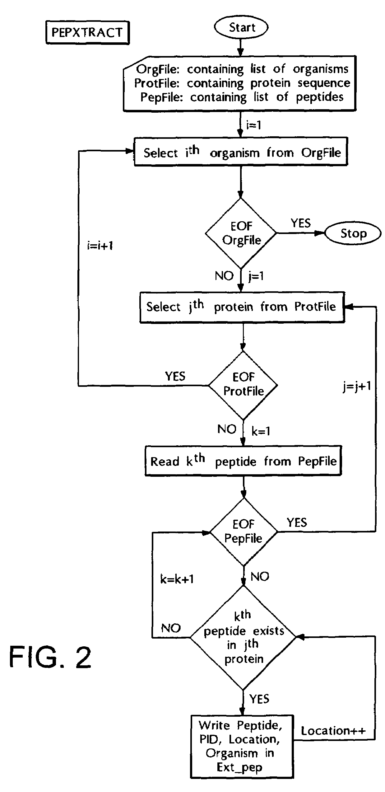 Computer based method for identifying peptides useful as drug targets