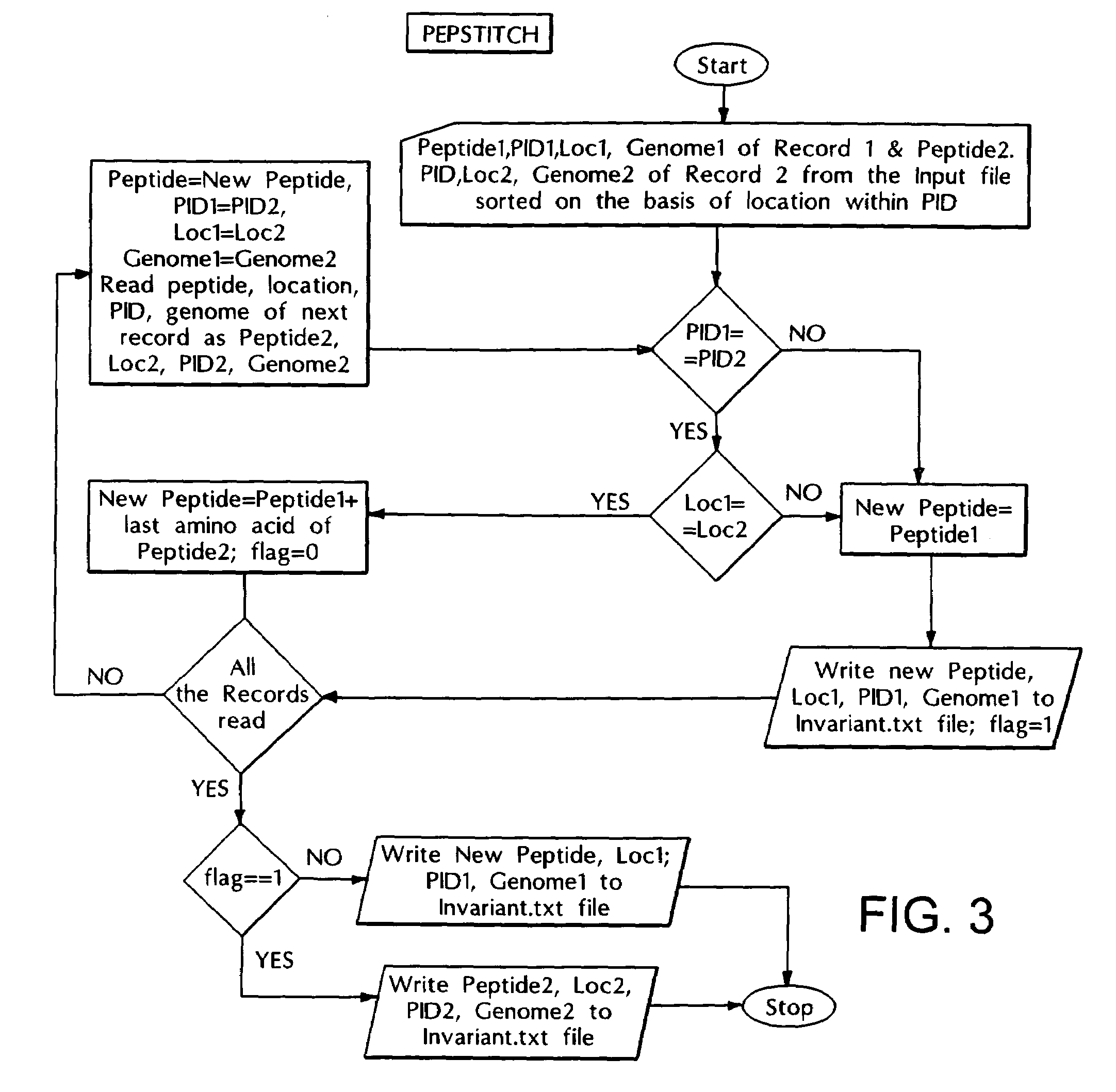 Computer based method for identifying peptides useful as drug targets