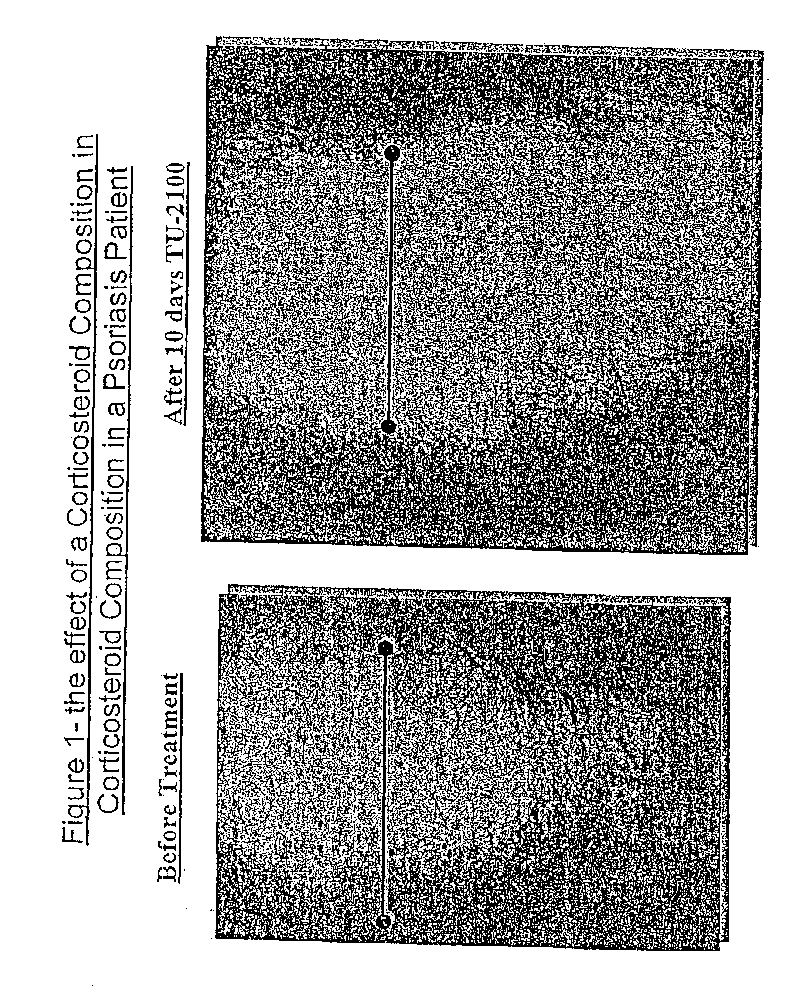 Pharmaceutical and cosmetic carrier or composition for topical application