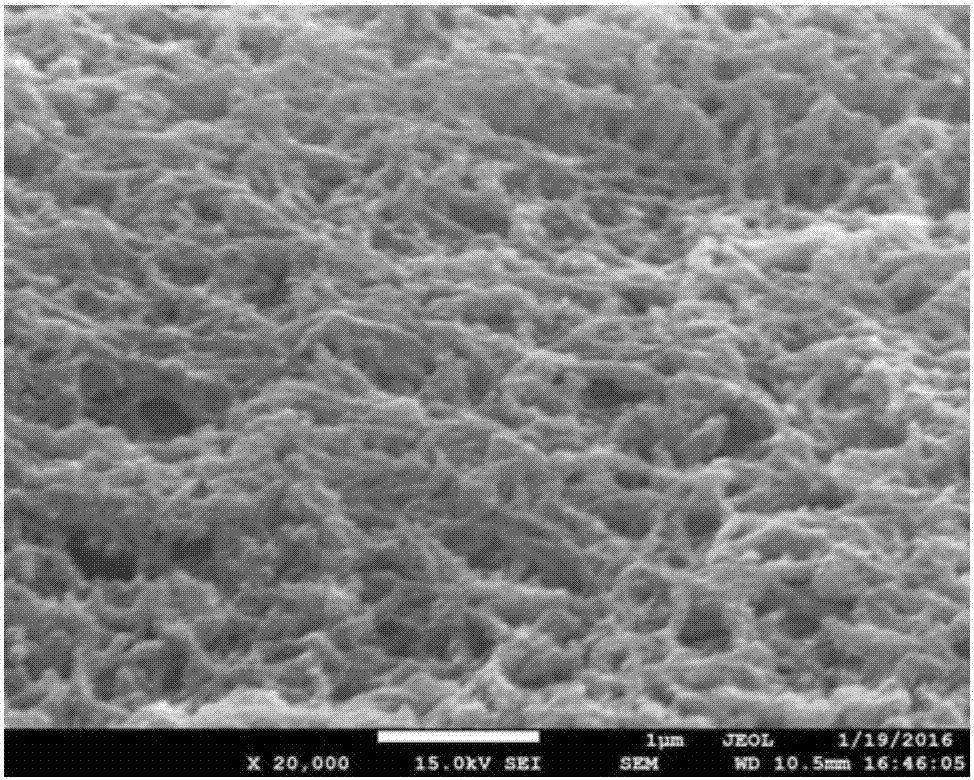 Zinc oxide-polyaniline sandwiched ultraviolet photoelectric detector and preparation method thereof