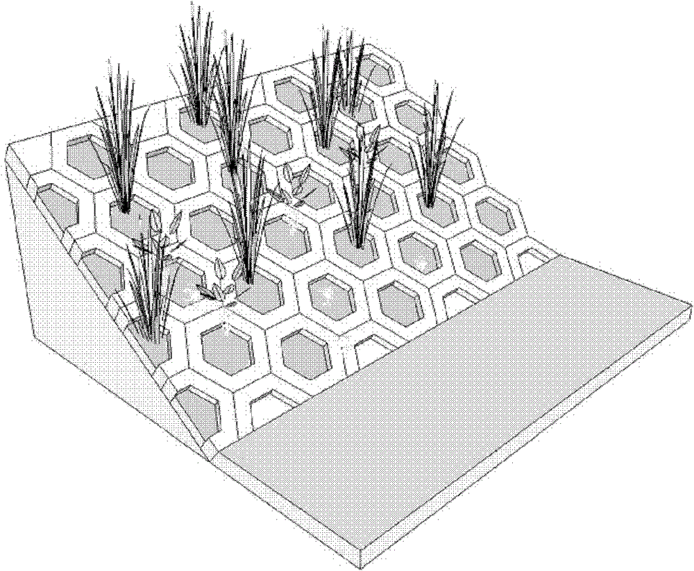 Method of constructing ecological revetment for intensively intercepting and clearing non-point pollution based on organisms