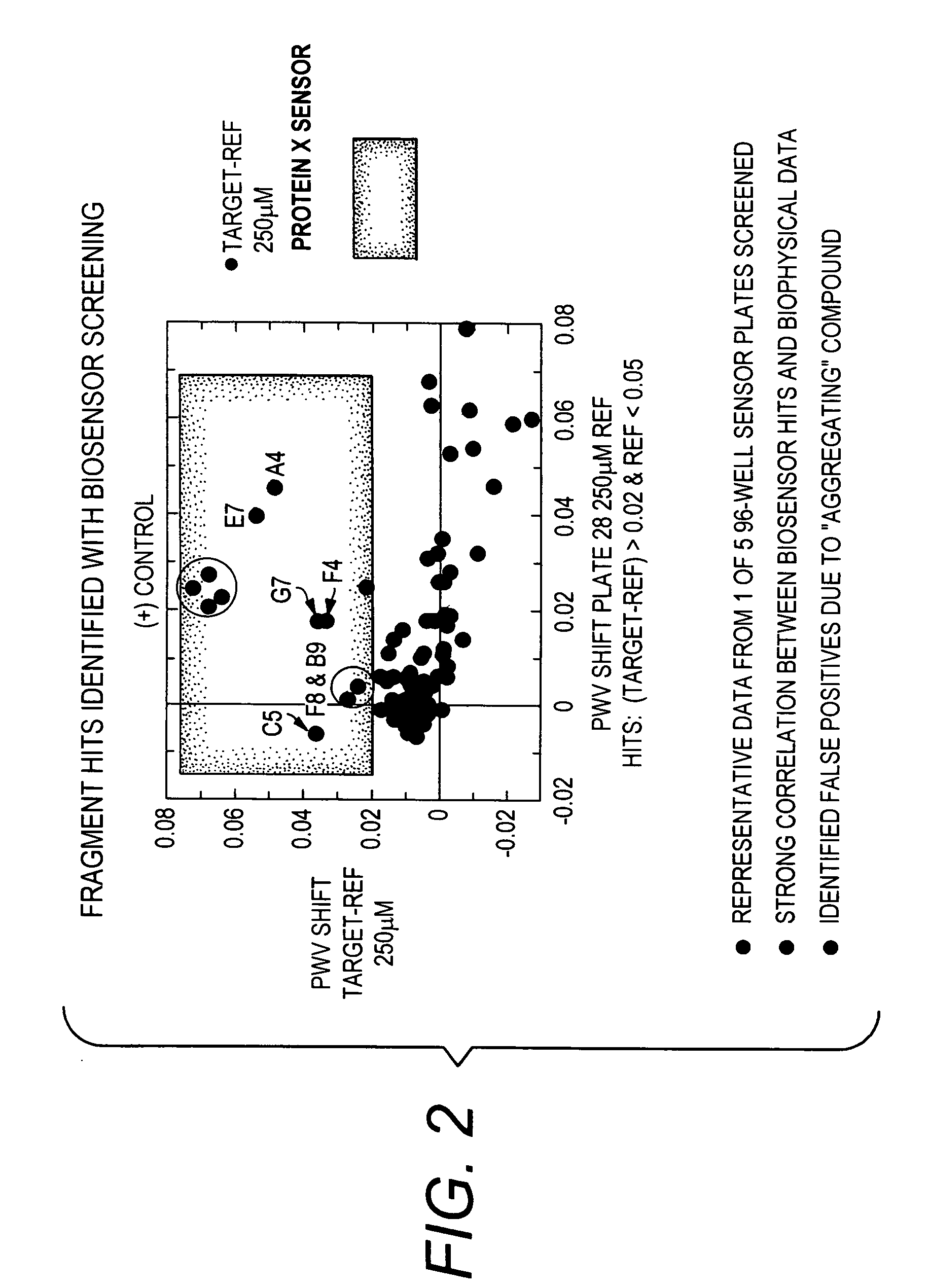 Method for Employing a Biosensor to Detect Small Molecules ("Fragments") that Bind Directly to Immobilized Protein Targets