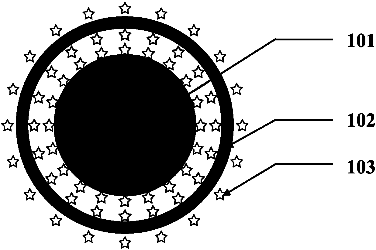 Hollow core-shell nanoparticle and preparation method, test strip and test method