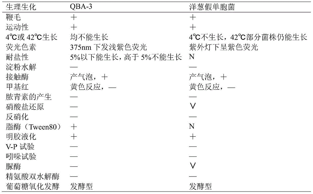 Pseudomonas cepacia strain QBA-3 having function of inhibiting botrytis cinerea and application thereof