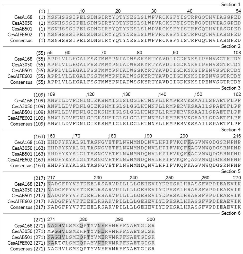 Carboxyesterase, coding gene, genetically engineered bacterium and application thereof