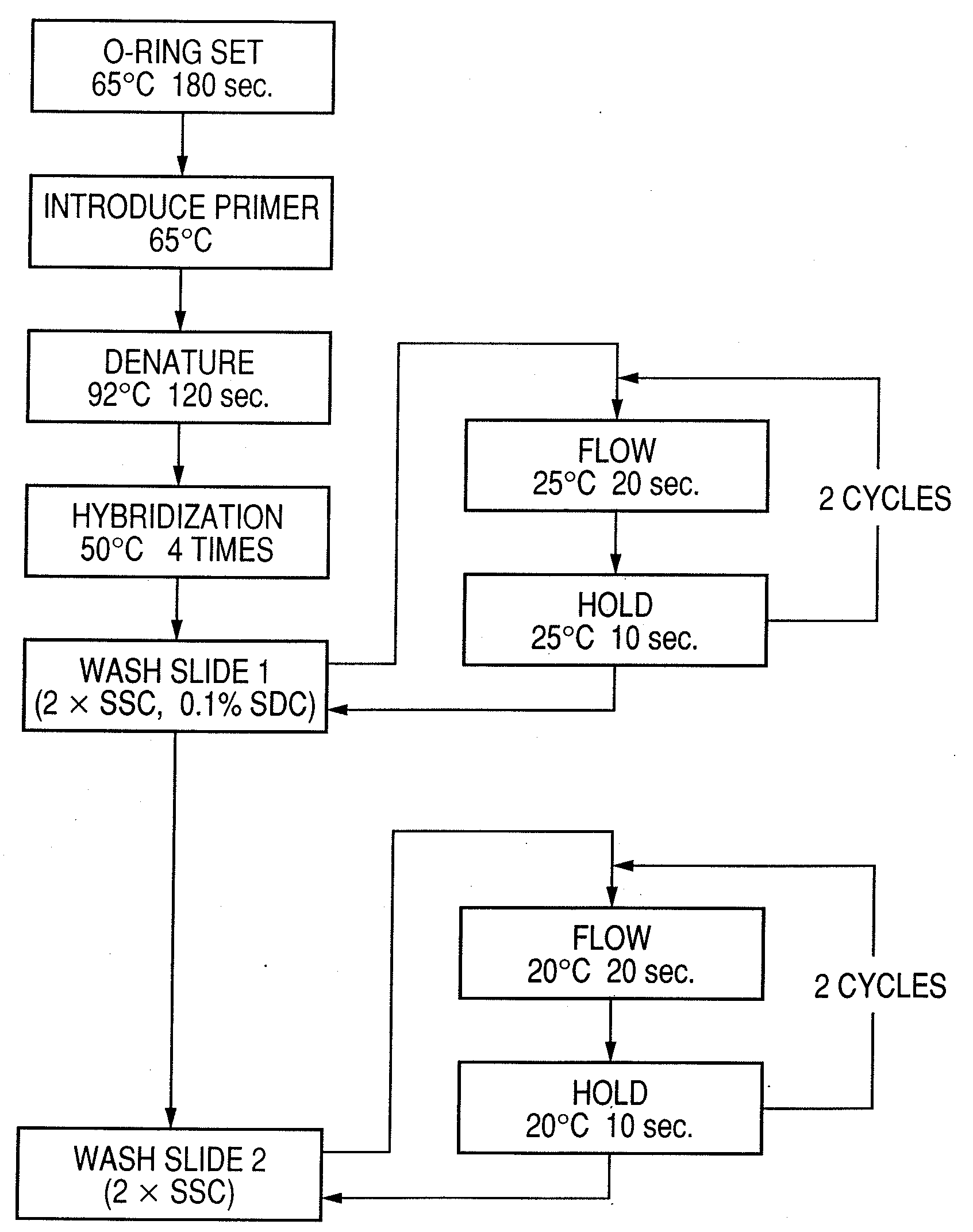 Probe, probe set, probe carrier, and testing method