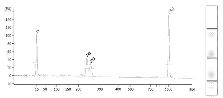 Semi-specific amplification primer group, method and kit for quickly detecting chromosome number abnormality