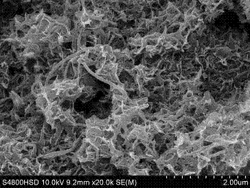 Preparation method of carbonate hydroxyapatite/carbon nano tube composite coating material