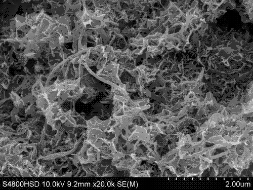 Preparation method of carbonate hydroxyapatite/carbon nano tube composite coating material