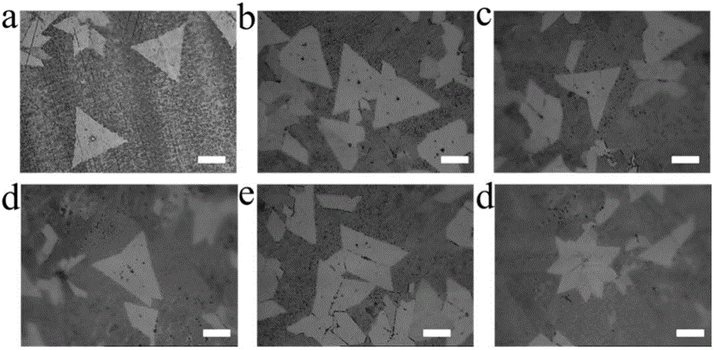 Method for preparing hexagonal boron nitride (h-BN) and hybrid structure thereof through plasma enhanced chemical vapor deposition (PECVD)