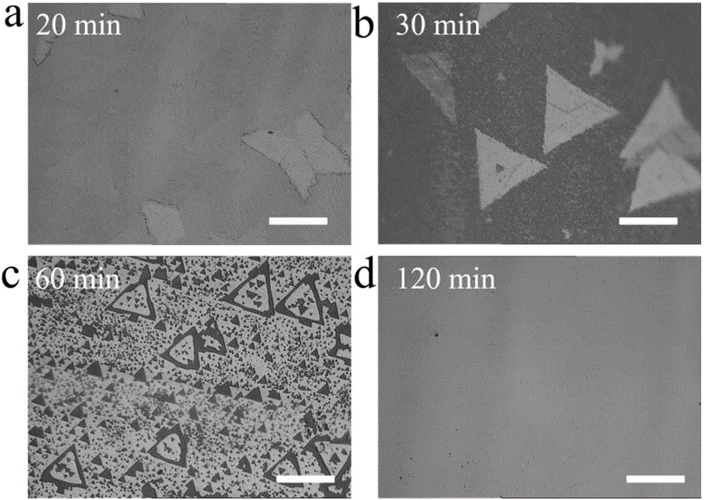 Method for preparing hexagonal boron nitride (h-BN) and hybrid structure thereof through plasma enhanced chemical vapor deposition (PECVD)