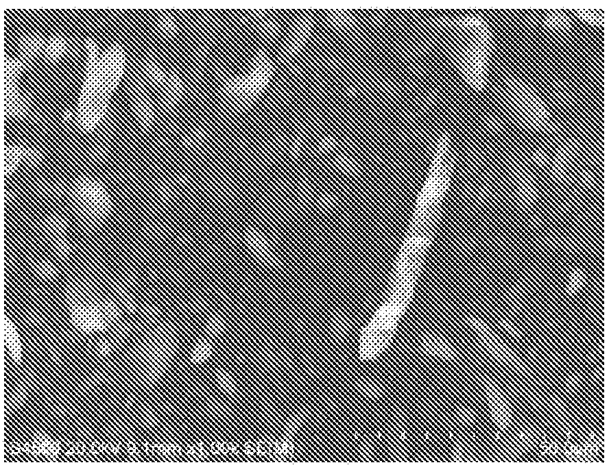 Method of manufacturing filter aid