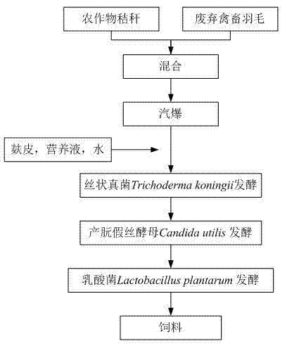 Preparation method for feed