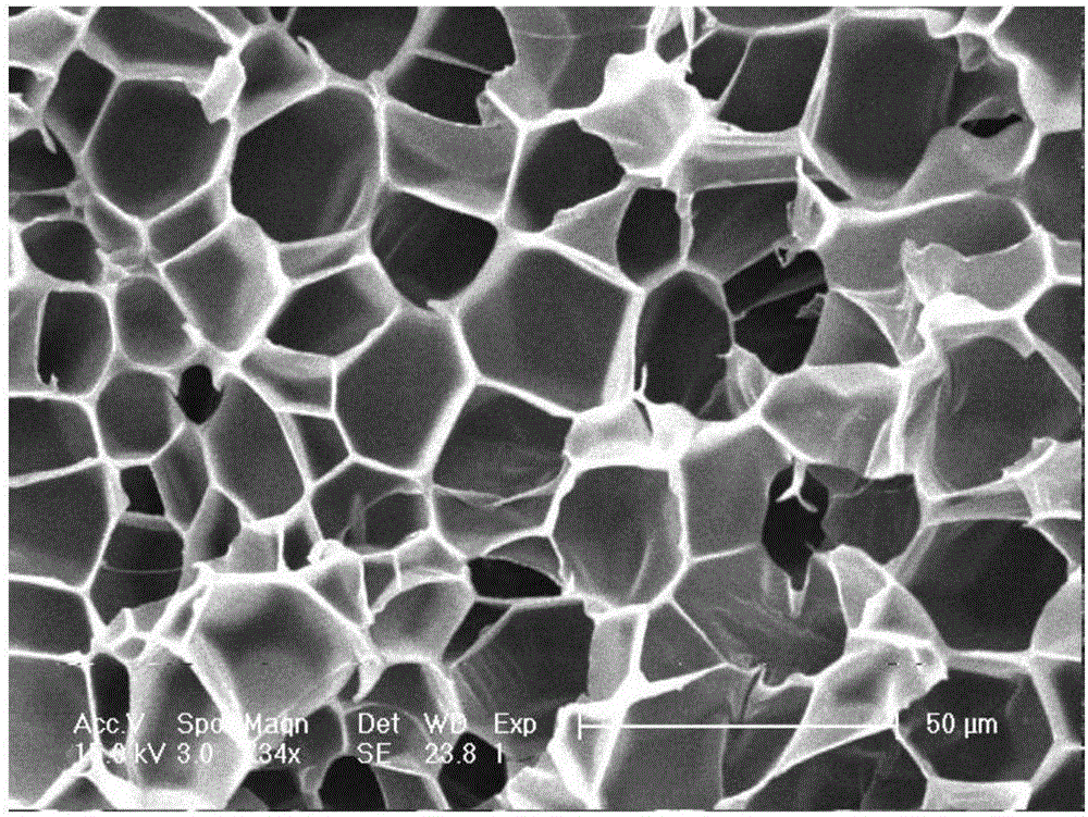 Phenolphthalein polyarylether ketone foam material and preparation method thereof