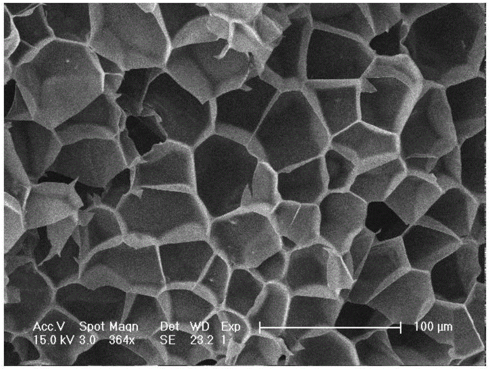 Phenolphthalein polyarylether ketone foam material and preparation method thereof