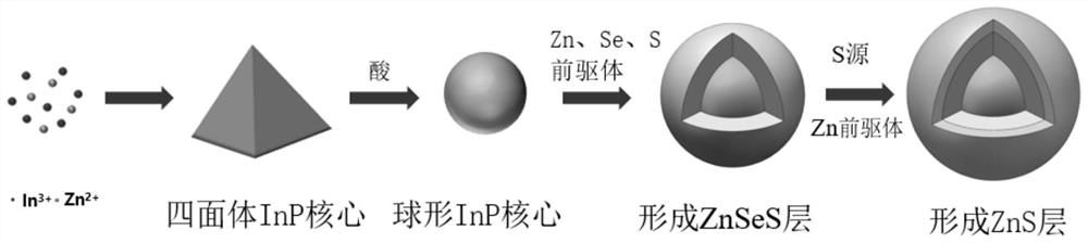 Quantum dot and preparation method and application thereof