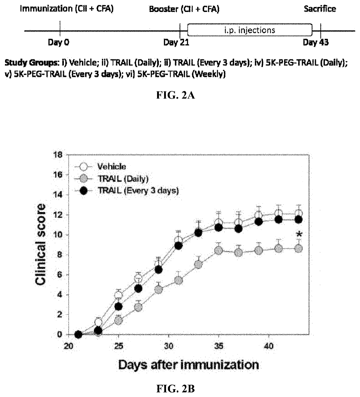 Long acting TRAIL receptor agonists for treatment of autoimmune diseases