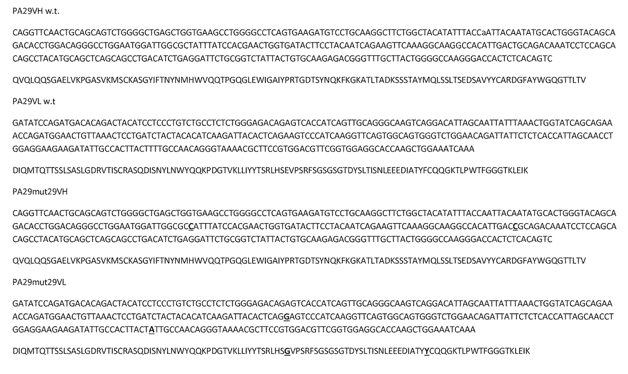 Antibodies directed to <i>Bacillus anthracis </i>protective antigen