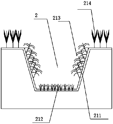 Improvement structure for low-lying land of sandy riparian zone in cold area