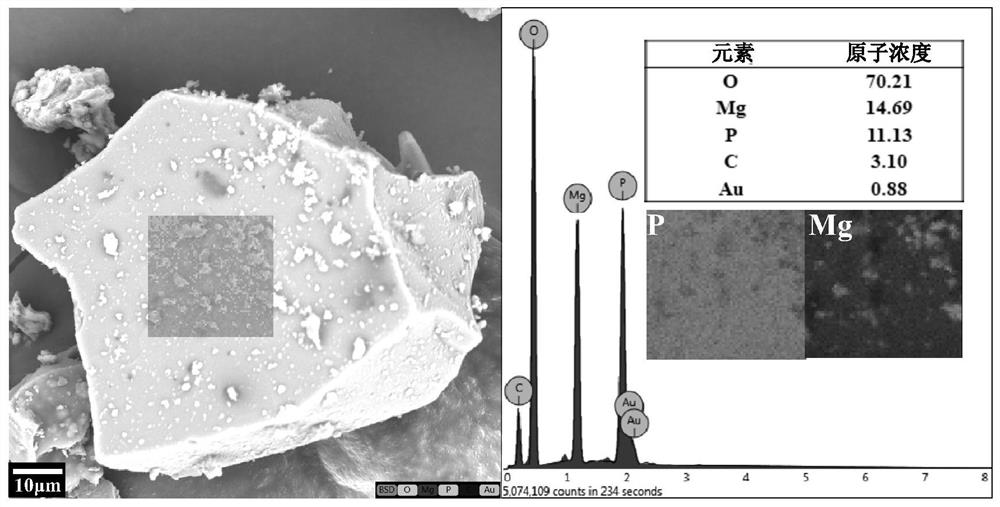 Bio-based phosphorus-magnesium flame retardant, preparation method and flame-retardant cable composite material