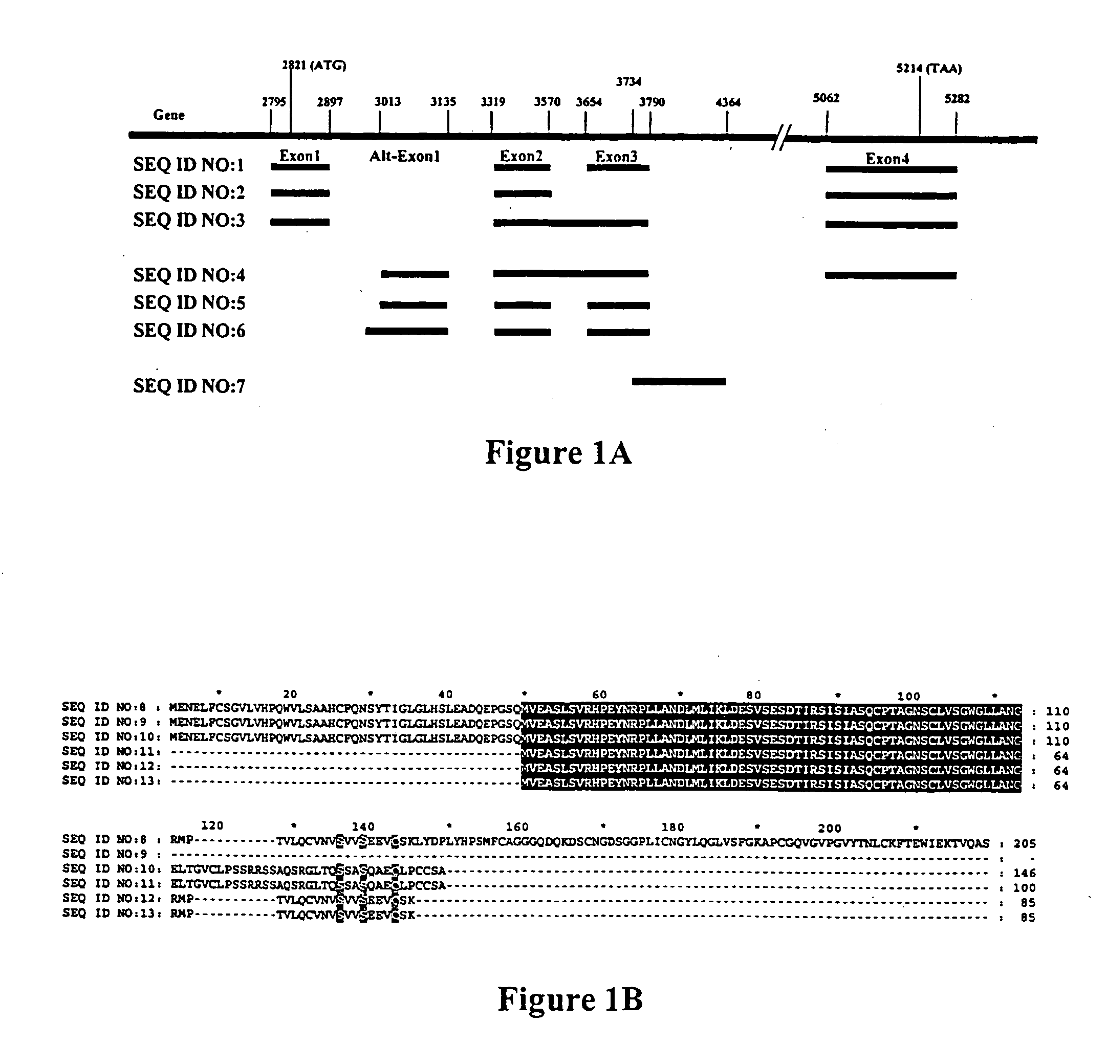 Differentially expressed genes in prostate cancer