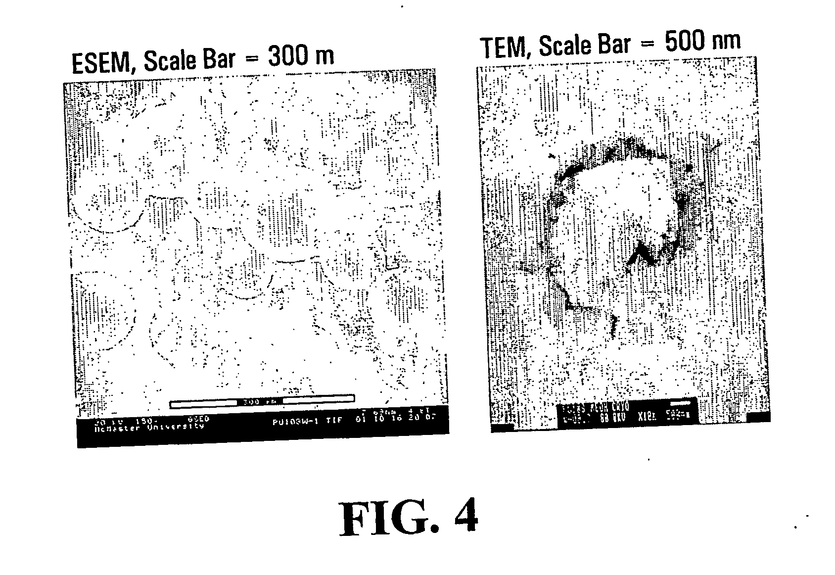 Method of encapsulating hydrophobic organic molecules in polyurea capsules