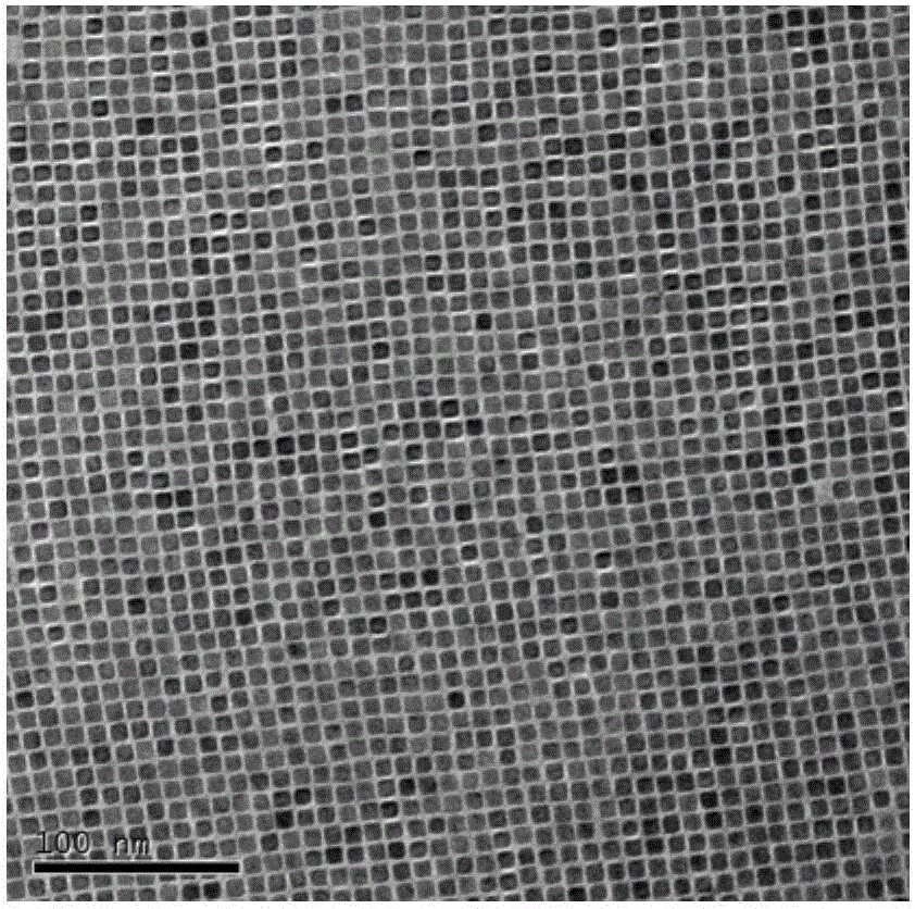 Method for preparing PbS nanosheet by using self-assembly