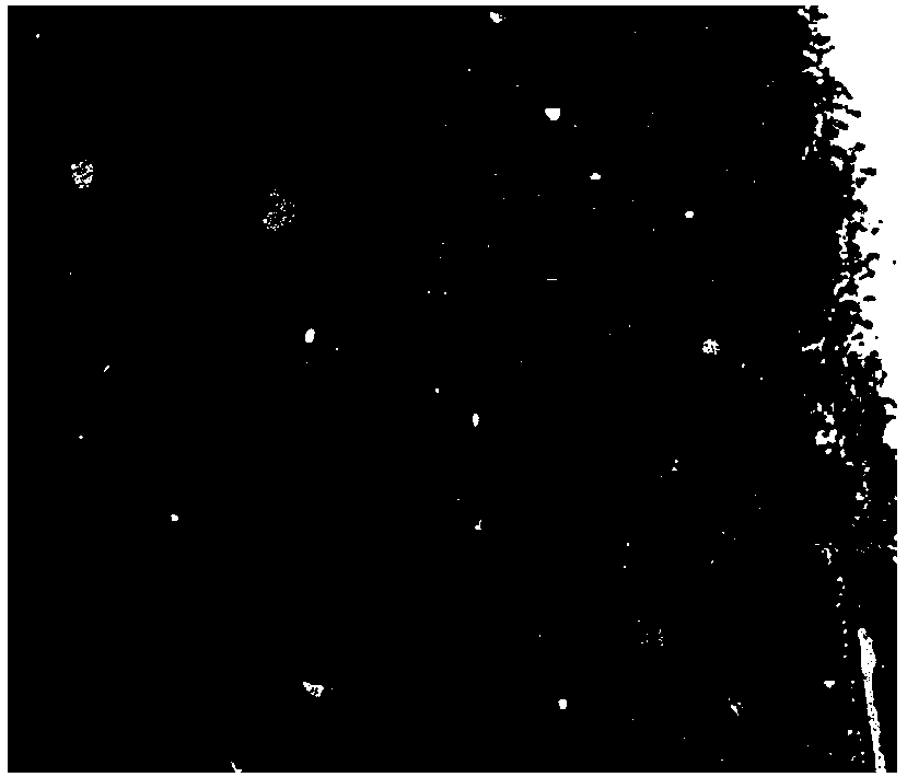 Metal anticorrosive coating and preparation method and application thereof