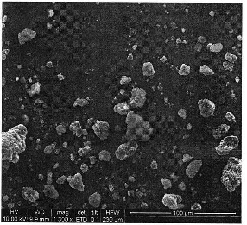 Drug-related genotyping kit and typing method for thiopurine drug