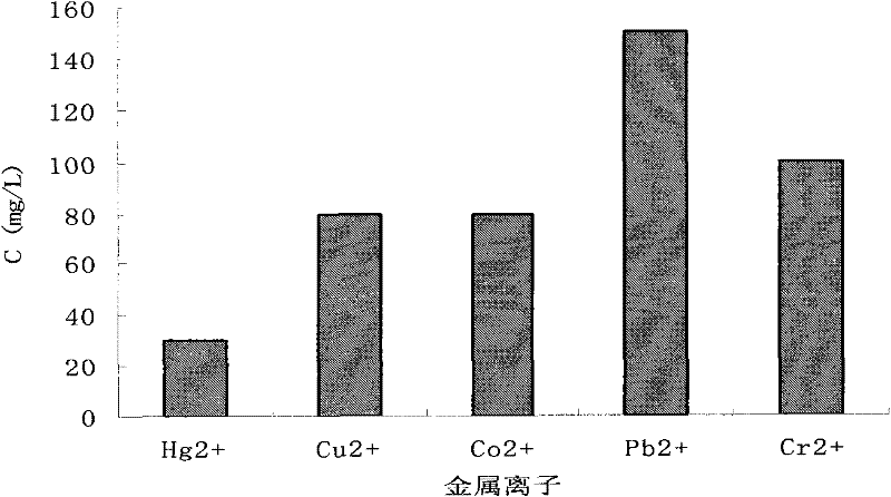 Application of radiation resistant bacteria in biological treatment of heavy metal ions