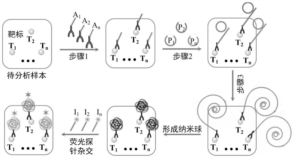 Target positioning and quantitative detection method based on DNA spherical nanostructure imaging