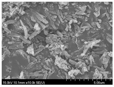 Composite platinum nanoparticle and metal nitride material catalyst and preparation method and application thereof