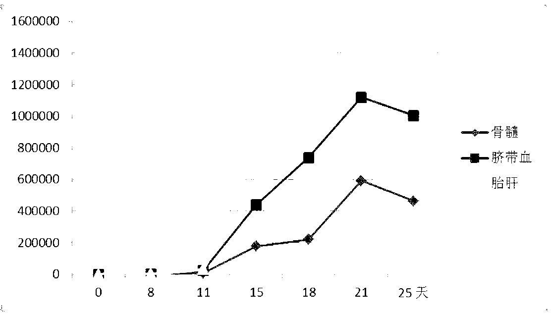 Device and method for in vitro high-density cultivation of erythrocyte